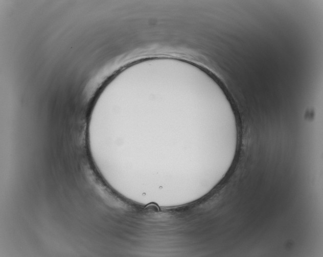 X0000112801507200909181525