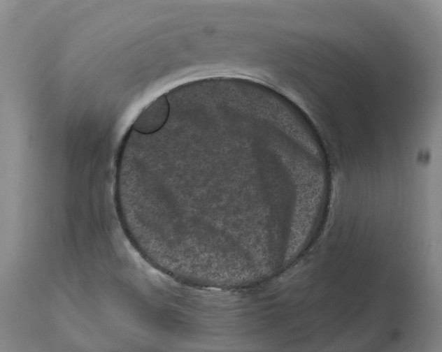 X0000112801508200909181525