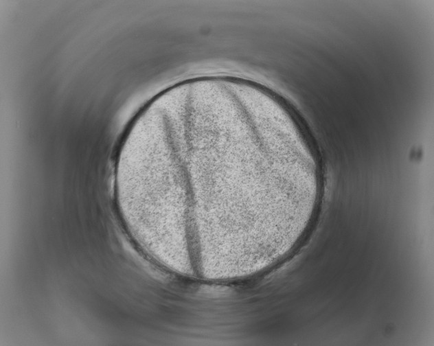 X0000112801509200909181525