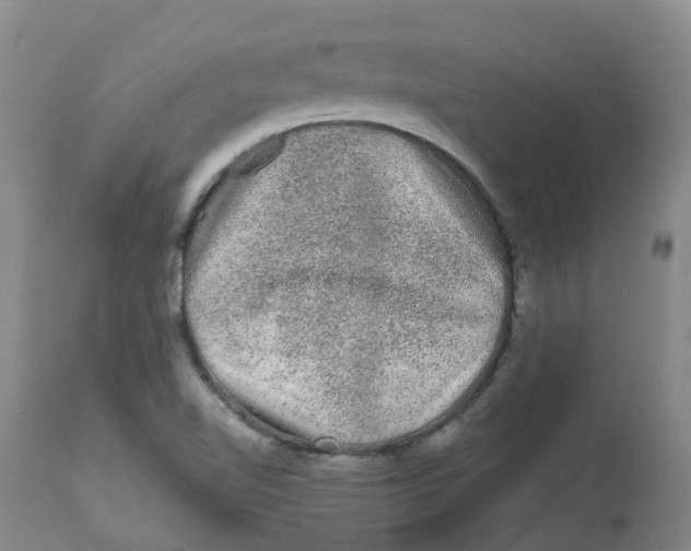 X0000112801510200909181525