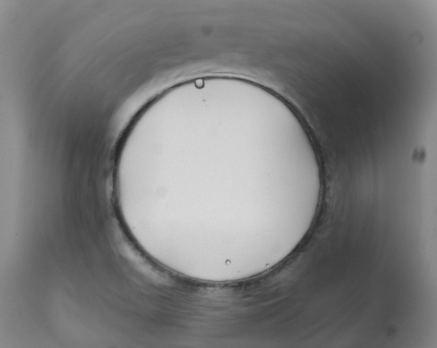 X0000112801511200909181525