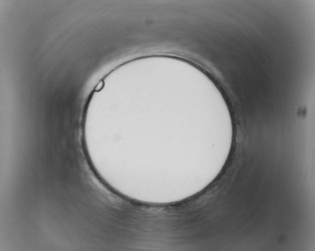 X0000112801512200909181525