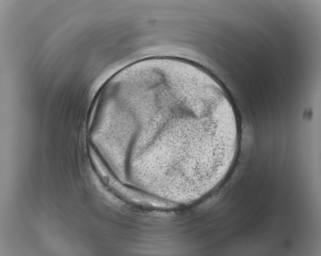X0000112801513200909181525