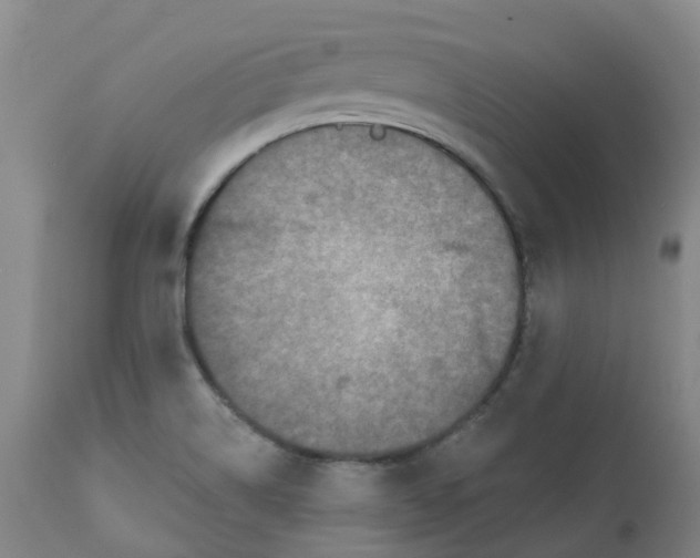 X0000112801514200909181525