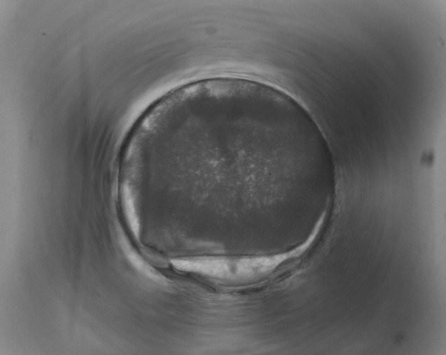 X0000112801515200909181525