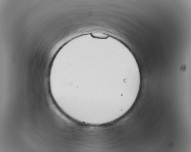 X0000112801518200909181525