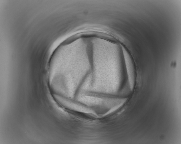 X0000112801520200909181525