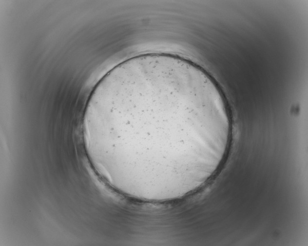 X0000112801521200909181525