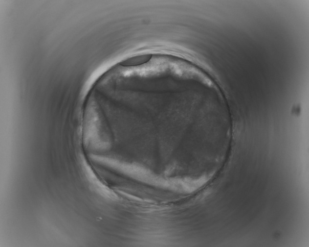 X0000112801522200909181525