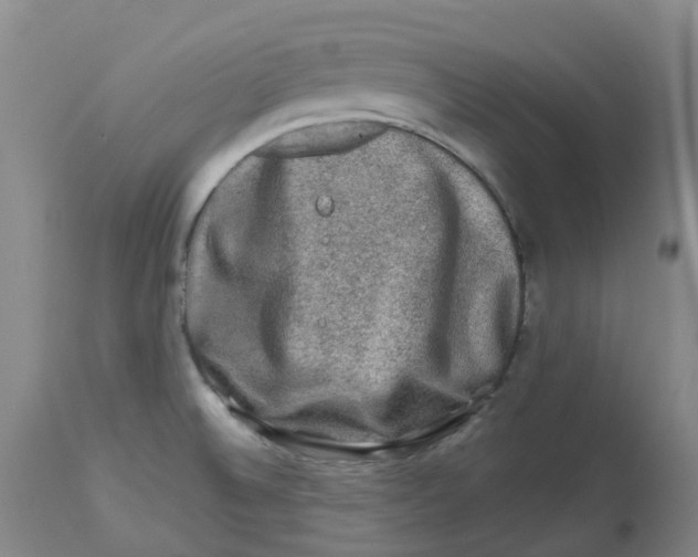 X0000112801524200909181525