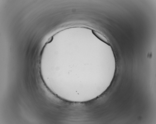 X0000112801526200909181525