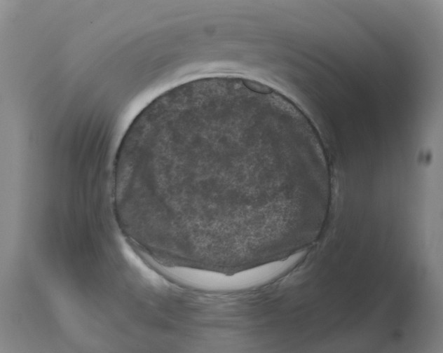 X0000112801527200909181525