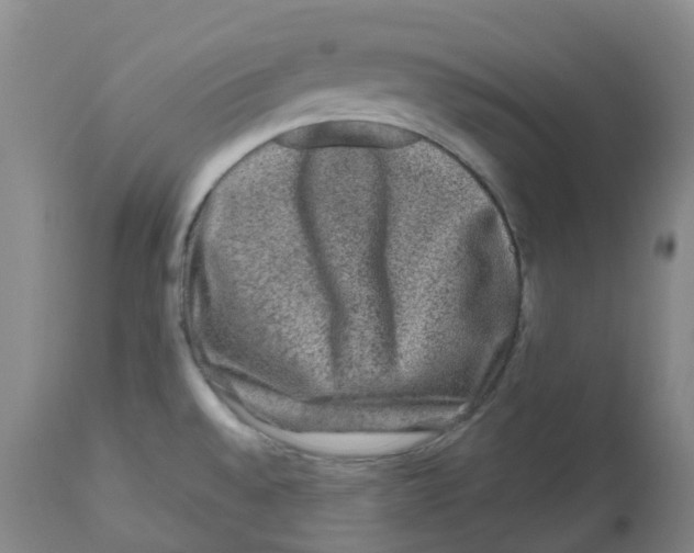 X0000112801528200909181525