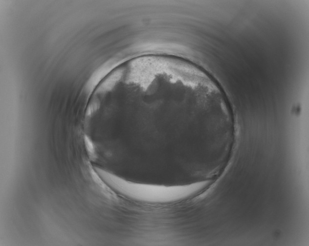 X0000112801529200909181525
