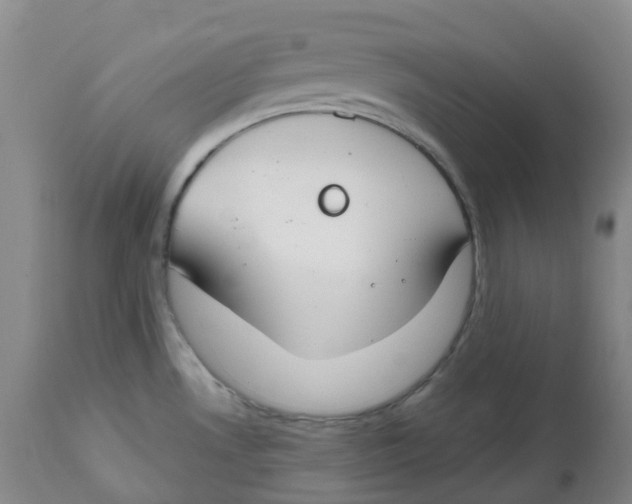 X0000112801530200909181525