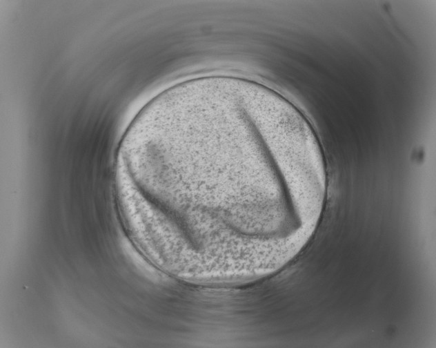 X0000112801532200909181525