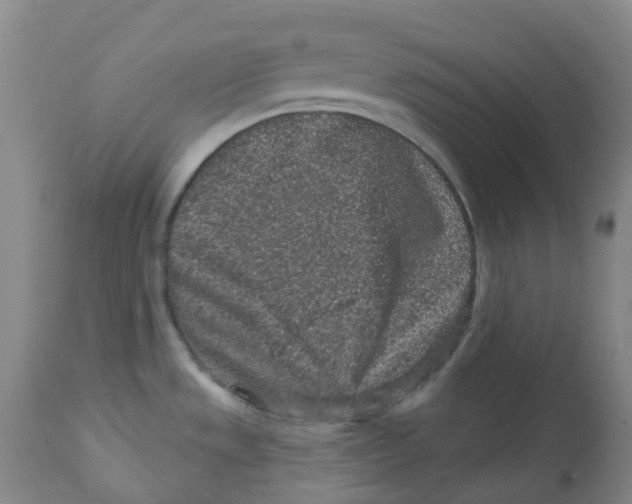 X0000112801533200909181525