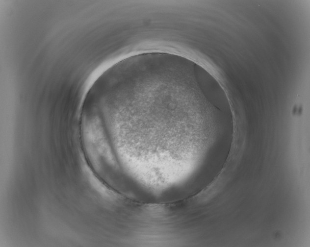 X0000112801536200909181525