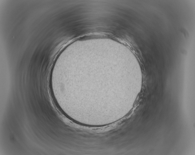 X0000112800001200910021130