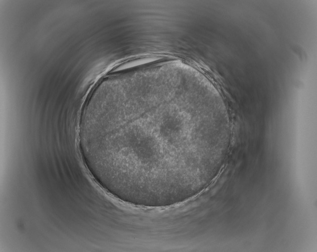 X0000112800002200910021130