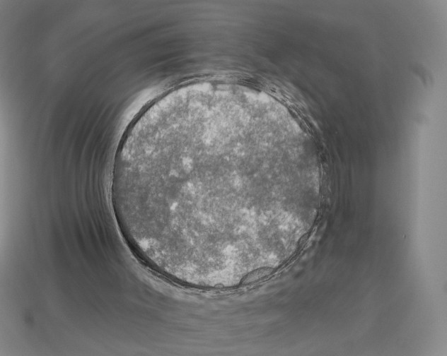 X0000112800003200910021130
