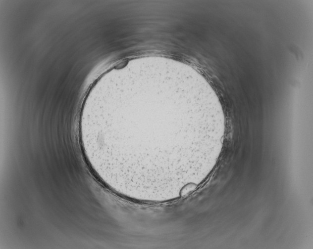 X0000112800004200910021130