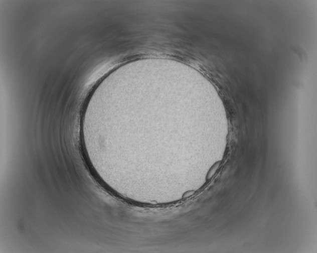 X0000112800005200910021130