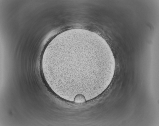 X0000112800006200910021130