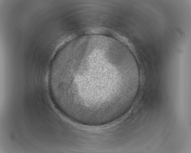 X0000112800010200910021129