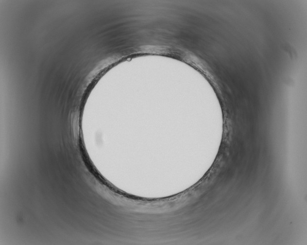 X0000112800011200910021129
