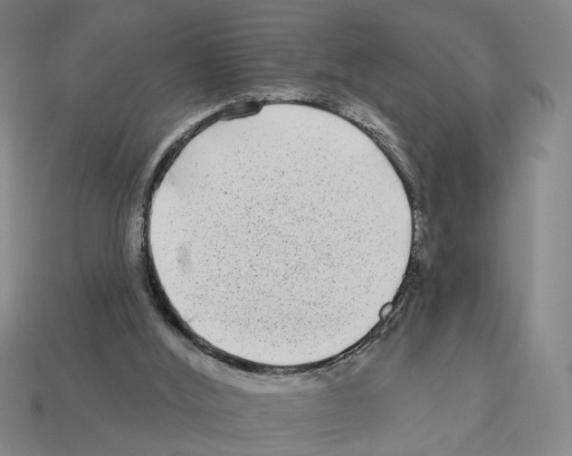 X0000112800012200910021129