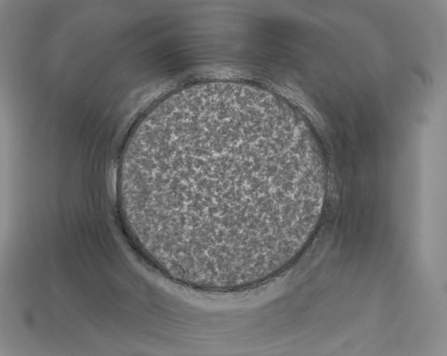 X0000112800014200910021129