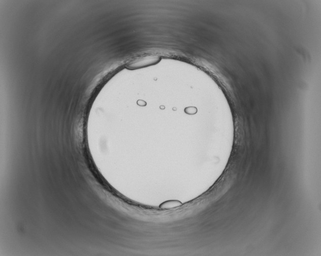 X0000112800015200910021129