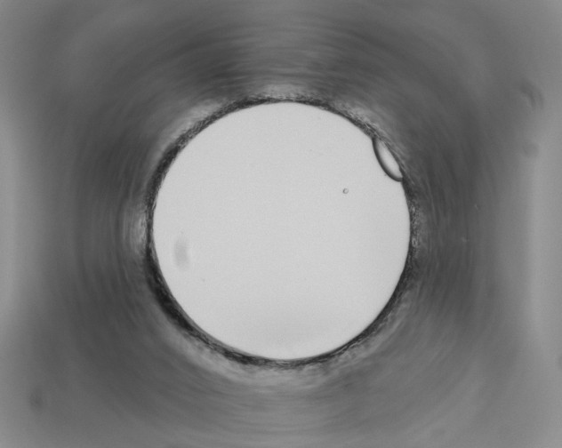 X0000112800016200910021129