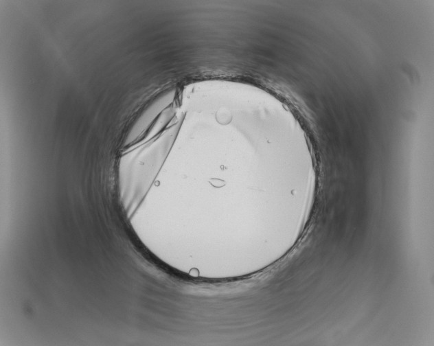 X0000112800017200910021129
