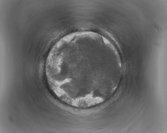 X0000112800018200910021129