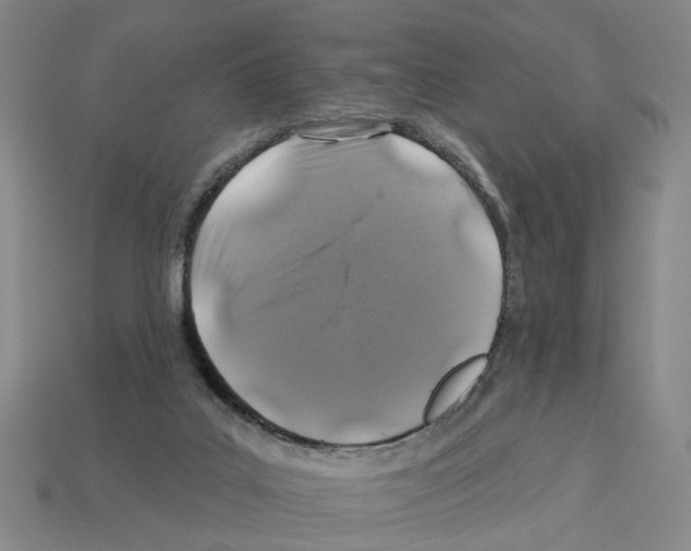 X0000112800019200910021129