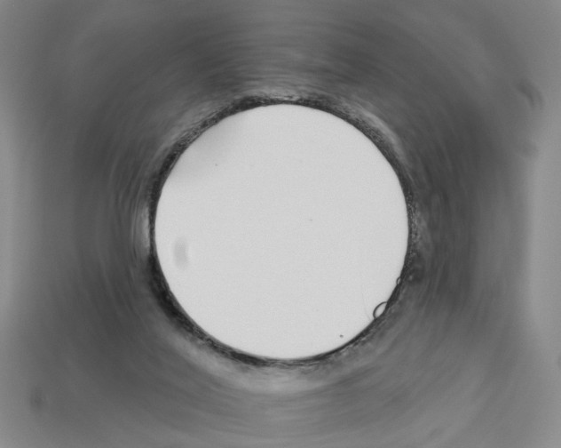 X0000112800020200910021129