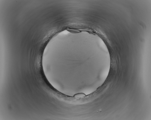 X0000112800023200910021129