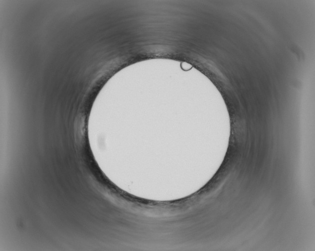 X0000112800024200910021129