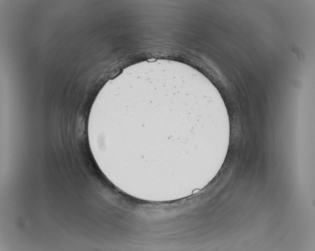 X0000112800025200910021129