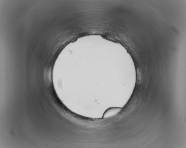 X0000112800028200910021129