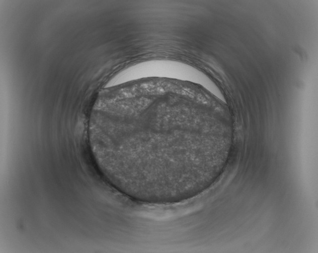 X0000112800029200910021129