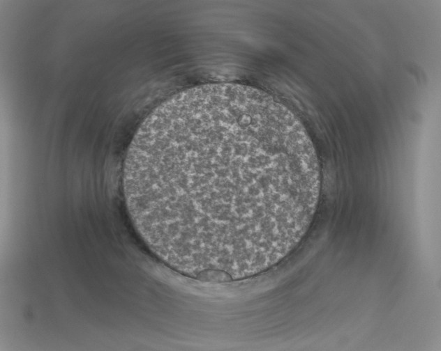 X0000112800030200910021129