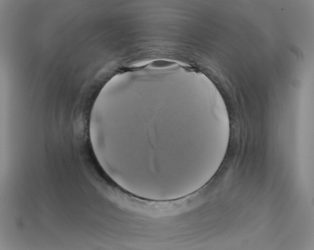 X0000112800031200910021129