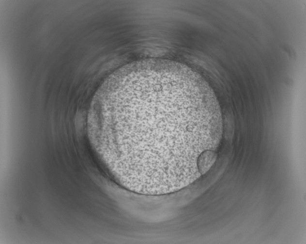 X0000112800034200910021129