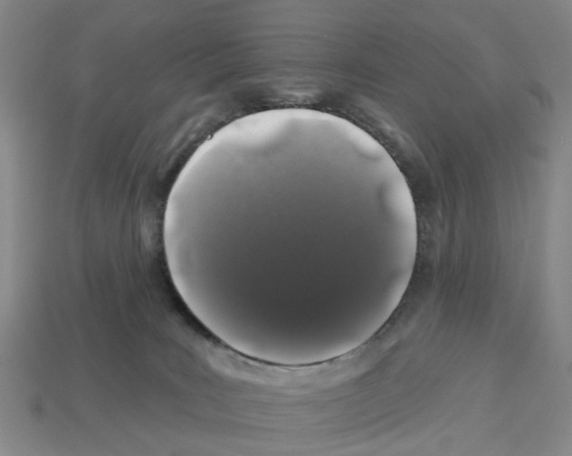 X0000112800035200910021129