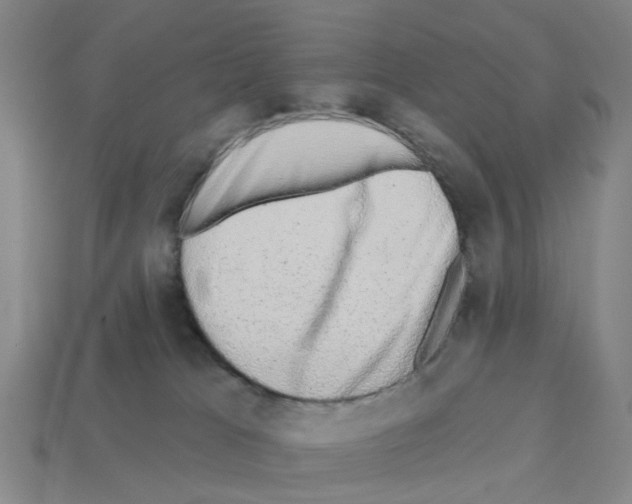 X0000112800037200910021129