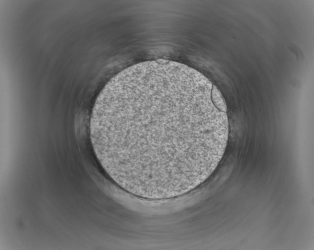X0000112800038200910021129
