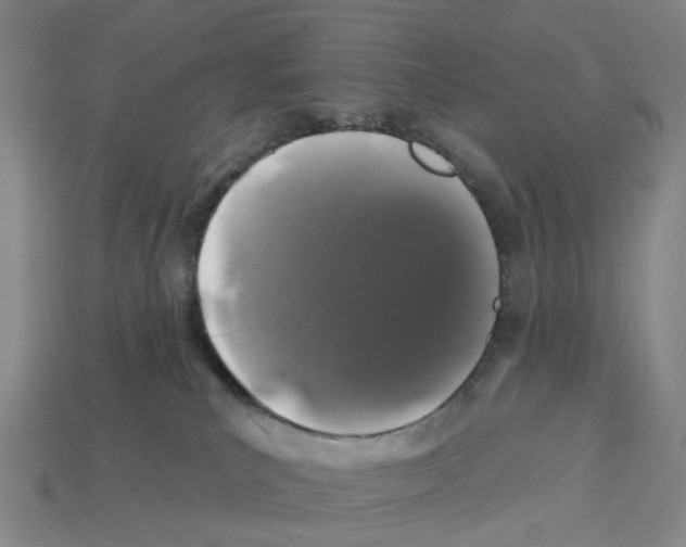 X0000112800039200910021129
